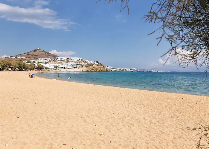 Villa San Dimitrio House On The Logaras